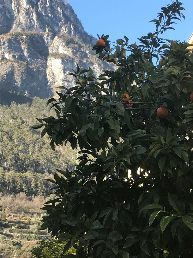 Casa Nika Daire Riva del Garda Dış mekan fotoğraf